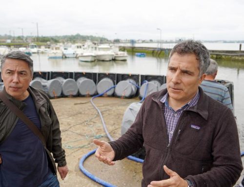 Pays basque : un barrage contre les inondations en test dans la cale de Boucau